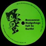 Boscanese Hedgehogs Fall To Earth - Boscanese Hedgehogs Fall To Earth - Boscaland Recordings - Hardcore