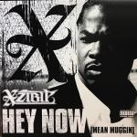 Xzibit - Hey Now (Mean Muggin) - Columbia - Hip Hop