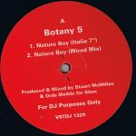 Botany 5 - Nature Boy - Virgin - UK House