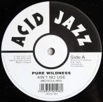 Pure Wildness - Ain't No Use - Acid Jazz - UK House