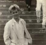 Howard Jones - All I Want (Extended Version) - WEA - Synth Pop