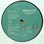 Hermann - Tumblin Down - ACV - House