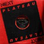 Taana Gardner - You Can't Keep Coming In And Out Of My Life - Next Plateau Records Inc. - UK House