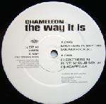 Chameleon - The Way It Is - Stress Records - Progressive