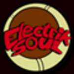 Onionz & Joeski & Master D - Chango Musi - Electrik Soul - US House