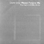 David Gray - Please Forgive Me (Paul Hartnoll (Orbital) Remixes) - EastWest - Tech House