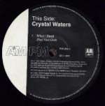 Crystal Waters - Ghetto Day / What I Need - AM:PM - US House