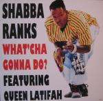 Shabba Ranks & Queen Latifah - What 'Cha Gonna Do? - Sony Music Entertainment Inc. - Hip Hop