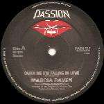 Marsha Raven - Catch Me (I'm Falling In Love) - Passion Records - Disco