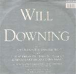 Will Downing - In My Dreams - Fourth & Broadway - UK House