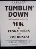Hermann - Tumblin' Down - E Legal - US House