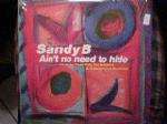 Sandy B - Ain't No Need To Hide - generic sleeve - Champion - US House