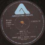 Garnet Mimms&Truckin' Company - What It Is - Arista Records - Disco