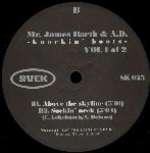 Mr. James Barth & A.D. - Knockin' Boots Vol. 1 Of 2 - Svek - Euro House