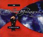 Blow Monkeys, The - Springtime For The World - RCA - Down Tempo