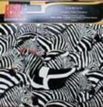 Pariah - Keep The Peace - Rhythm Syndicate - Progressive