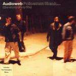 Audioweb - Policeman Skank... (The Story Of My Life) - Mother Records - Break Beat