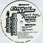 Critical Mass - Won't You Know - Aqua Boogie Records - US House