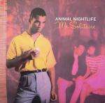Animal Nightlife - Mr Solitaire - Island Records - Disco