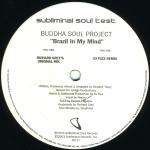 Buddha Soul Project - Brazil In My Mind - Subliminal Soul - US House