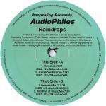 Deep Swing & AudioPhiles - Raindrops - Generate Music - US House