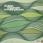 Bobby Hughes Combination - Kerma Elastica - Stereo Deluxe - Future Jazz