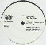 Anastacia - Not That Kind - Giant Step Records - US House