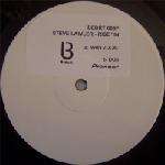 Steve Lawler - Rise In (Promo 1) - Bedrock Records - Progressive