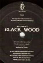 Blackwood - All I Gave To You - Blue Village - US House