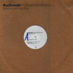 Audioweb - Policeman Skank... (The Story Of My Life) - Mother Records - Break Beat
