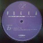 Big Band Experience - No Stoppin - Pukka Records - House