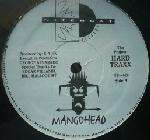 Mangohead - The Project: Hard Traxx - Nitebeat - US House