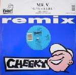 Mr. V - Give Me Life - Cheeky Records - Progressive