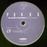 Big Band Experience - No Stoppin - Disc 2 only - Pukka Records - House