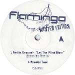 Various - Winter Edition - Disc 2 only - Flamingo Discos - House
